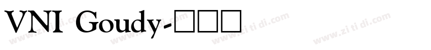VNI Goudy字体转换